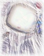 Papiers Froiss&eacute;, Particolare
