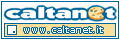 Caltanet Motore di Ricerca Italiano